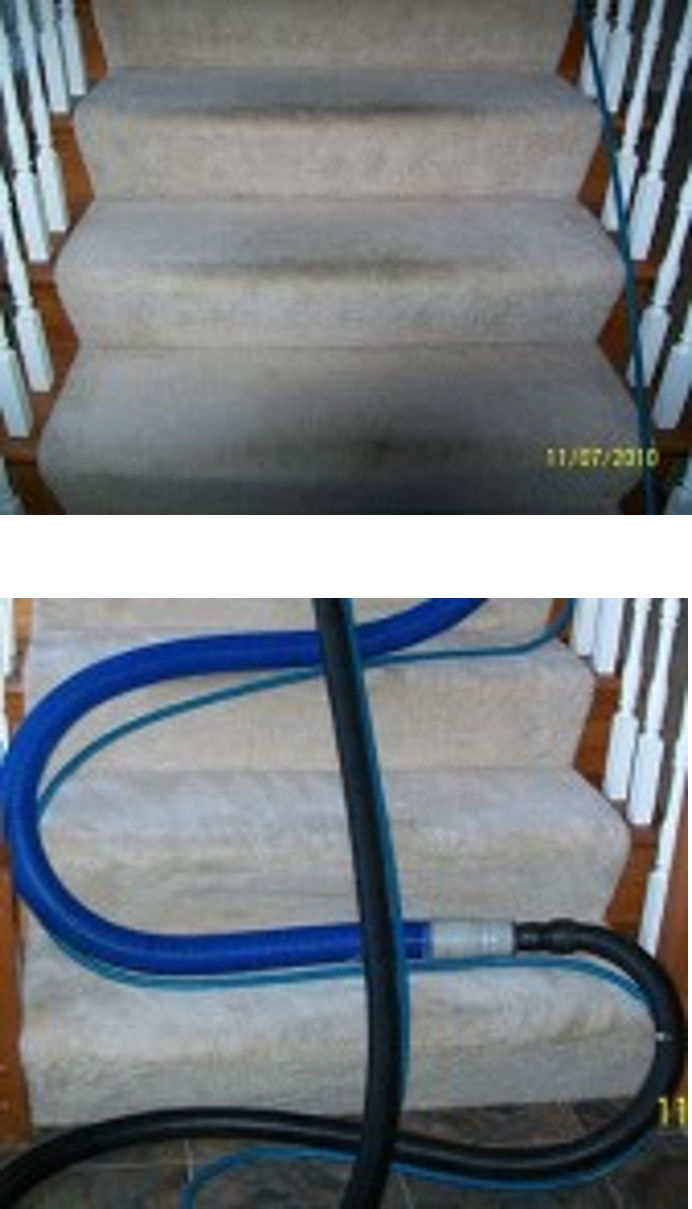 professional carpet cleaning services